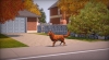 Filename=Animaux-et-cie-21.jpg
Filesize=117KB
Dimensions=960x536
Date added=Oct 14, 2011 Animaux-et-cie-21.jpg